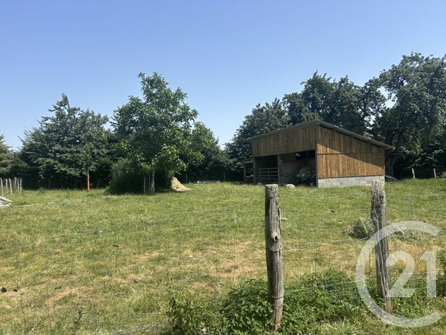 Maison &agrave; vendre - 8 pi&egrave;ces - 238,47 m2 - Torchamp - 61 - BASSE-NORMANDIE