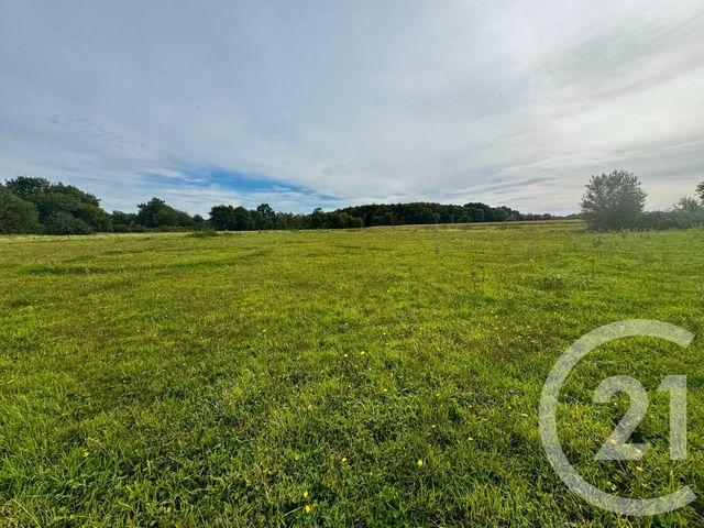 Maison à vendre - 8 pièces - 180,45 m2 - Languenan - 22 - BRETAGNE