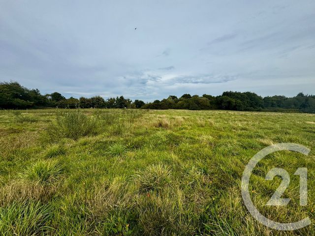 Maison à vendre - 8 pièces - 180,45 m2 - Languenan - 22 - BRETAGNE