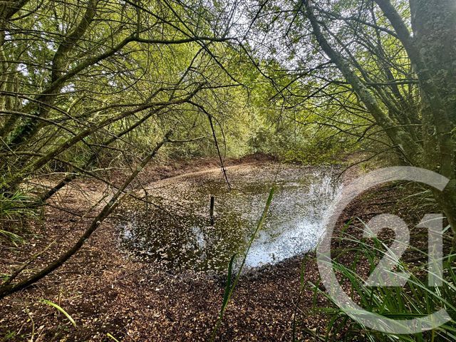 Maison à vendre - 8 pièces - 180,45 m2 - Languenan - 22 - BRETAGNE