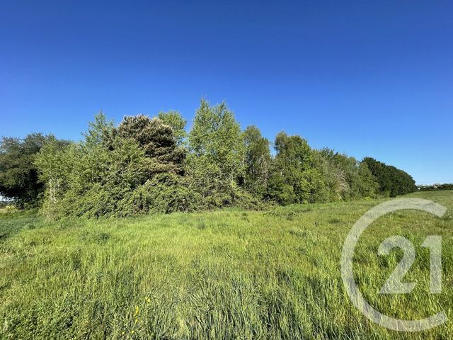 Maison &agrave; vendre - 8 pi&egrave;ces - 220 m2 - Faramans - 01 - RHONE-ALPES