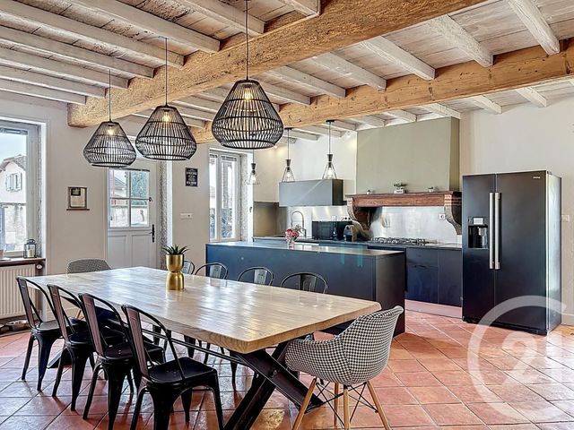 Maison &agrave; vendre - 7 pi&egrave;ces - 390 m2 - Villieu Loyes Mollon - 01 - RHONE-ALPES