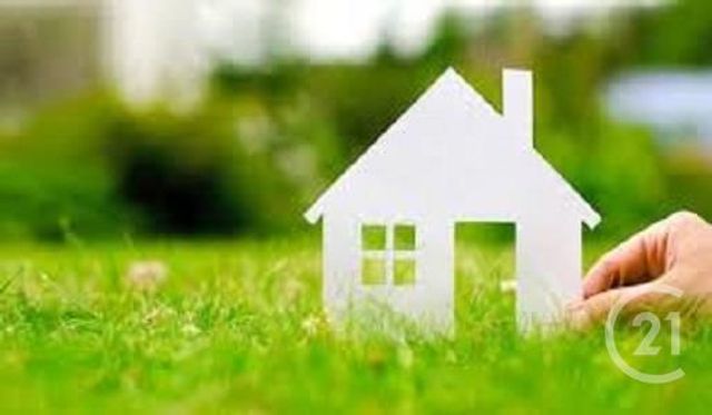 terrain - BLYES - 01