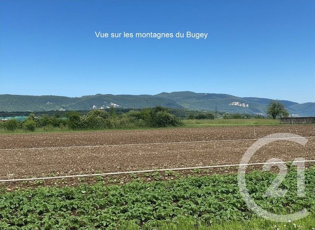 Terrain &agrave; vendre - 1492 m2 - Chazey Sur Ain - 01 - RHONE-ALPES
