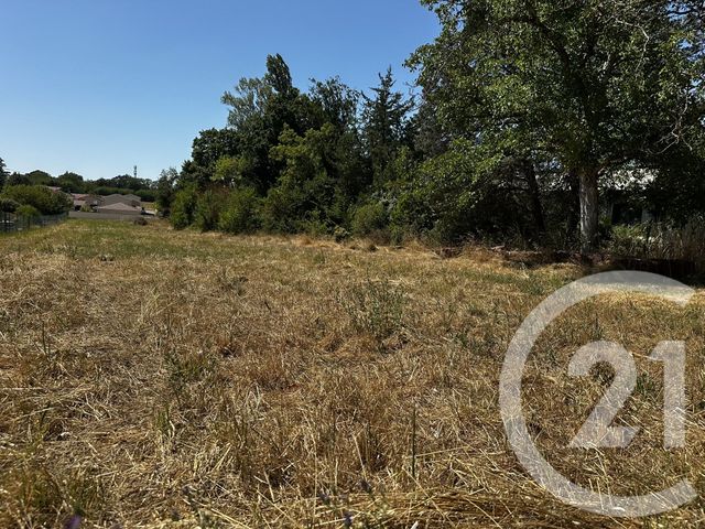 terrain - CHARNOZ SUR AIN - 01