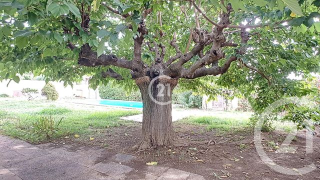 Maison &agrave; louer - 5 pi&egrave;ces - 140,52 m2 - St Martin De Crau - 13 - PROVENCE-ALPES-COTE-D-AZUR