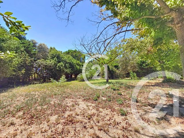 Maison à vendre - 6 pièces - 134,10 m2 - Mas Thibert - 13 - PROVENCE-ALPES-COTE-D-AZUR