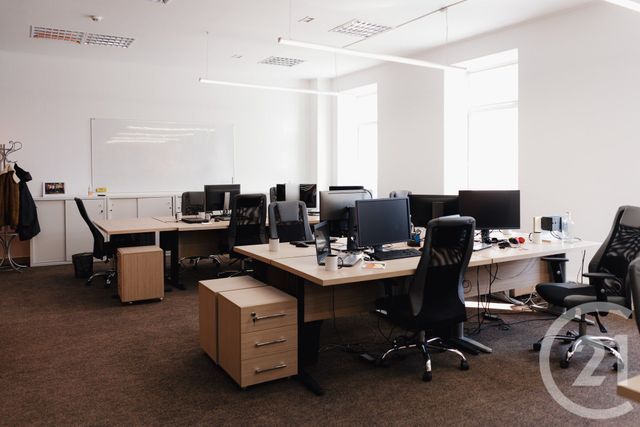 appartement - CANNES LA BOCCA - 06