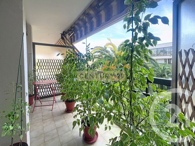 appartement - MANDELIEU LA NAPOULE - 06