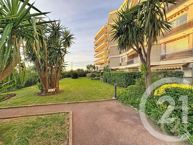 appartement - CANNES - 06
