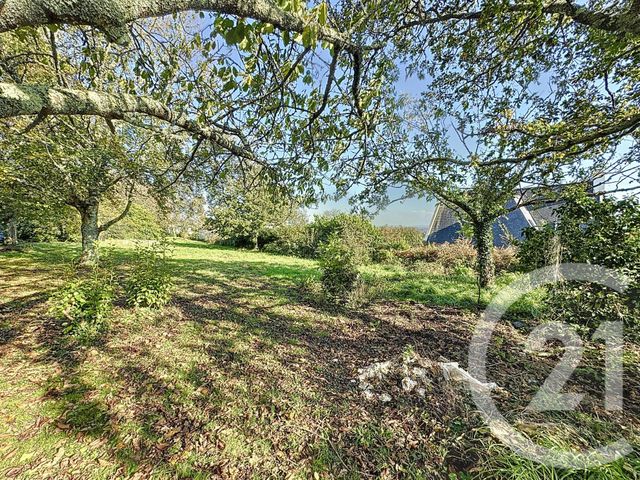 Terrain à vendre - 998 m2 - Plougastel Daoulas - 29 - BRETAGNE