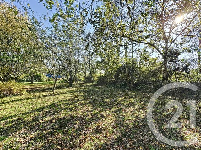 Terrain à vendre - 998 m2 - Plougastel Daoulas - 29 - BRETAGNE