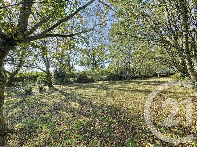 Terrain à vendre - 998 m2 - Plougastel Daoulas - 29 - BRETAGNE