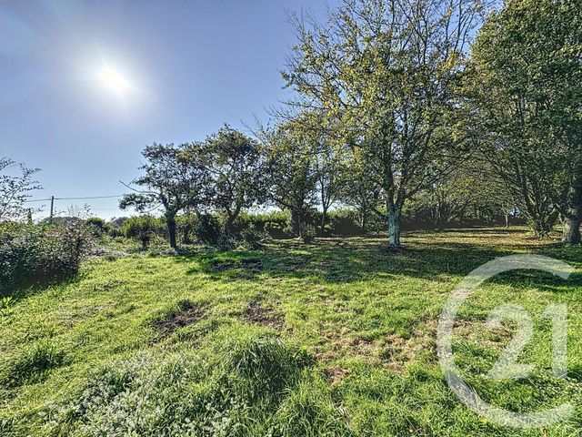 Terrain à vendre - 998 m2 - Plougastel Daoulas - 29 - BRETAGNE