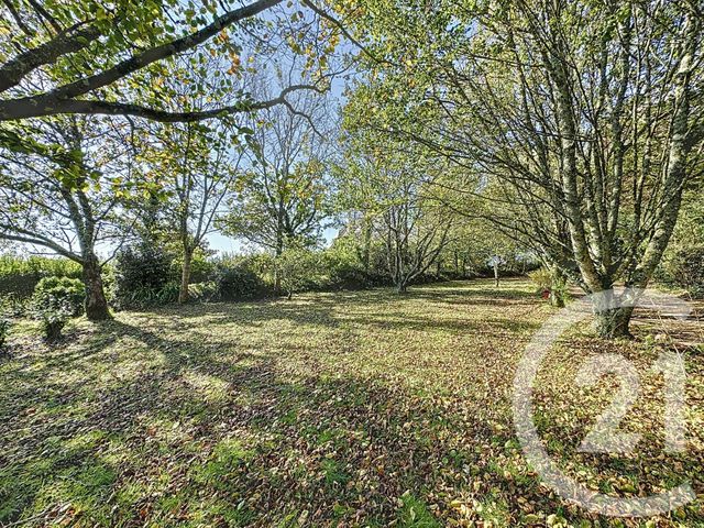 Terrain à vendre - 998 m2 - Plougastel Daoulas - 29 - BRETAGNE