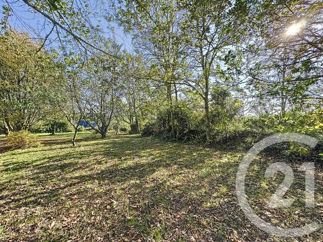 Terrain à vendre - 998 m2 - Plougastel Daoulas - 29 - BRETAGNE