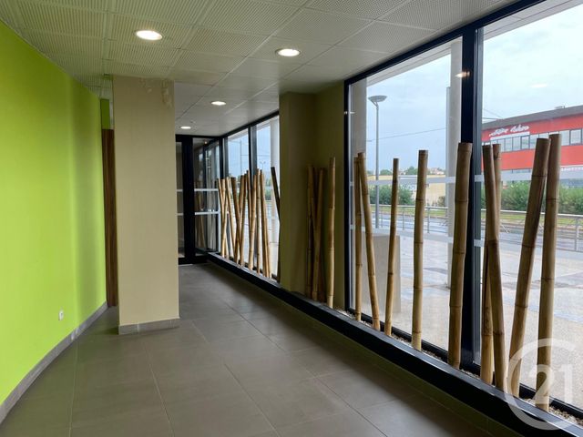 Appartement F1 &agrave; louer - 1 pi&egrave;ce - 22,46 m2 - Castelnau Le Lez - 34 - LANGUEDOC-ROUSSILLON