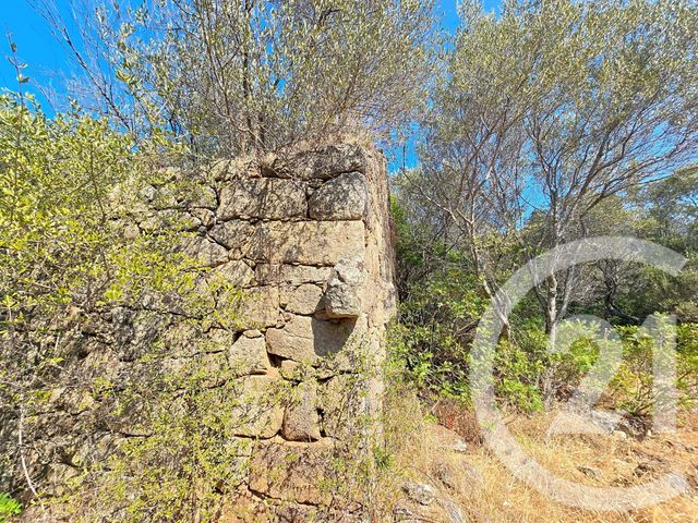 Terrain &agrave; vendre - 12372 m2 - Coti Chiavari - 201 - CORSE