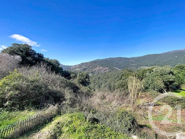Maison &agrave; vendre - 5 pi&egrave;ces - 230 m2 - Murzo - 201 - CORSE