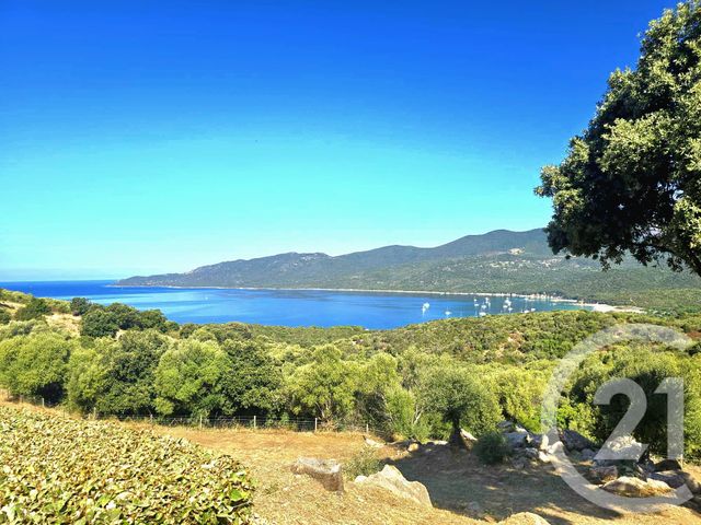 appartement - SERRA DI FERRO - 201