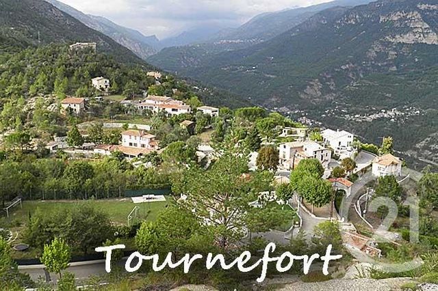 terrain - TOURNEFORT - 06