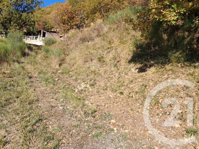 Terrain &agrave; vendre - 3000 m2 - Bonson - 06 - PROVENCE-ALPES-COTE-D-AZUR