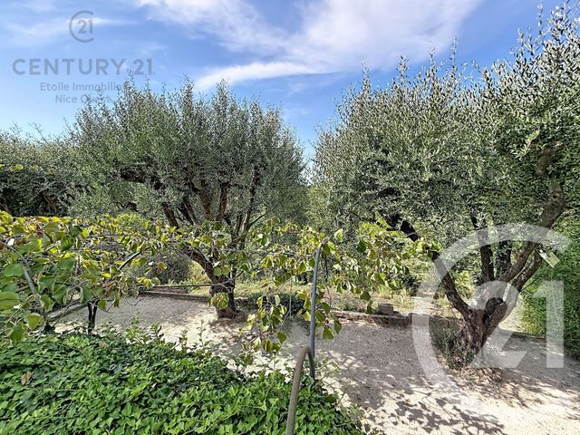 Maison &agrave; vendre - 6 pi&egrave;ces - 280 m2 - La Gaude - 06 - PROVENCE-ALPES-COTE-D-AZUR