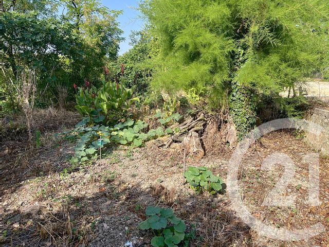 Maison à louer - 3 pièces - 92,02 m2 - Cezan - 32 - MIDI-PYRENEES