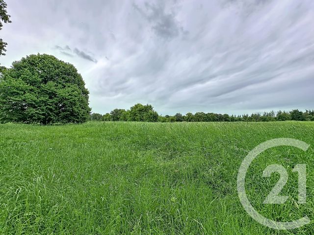Maison &agrave; vendre - 6 pi&egrave;ces - 195,04 m2 - Fleurance - 32 - MIDI-PYRENEES