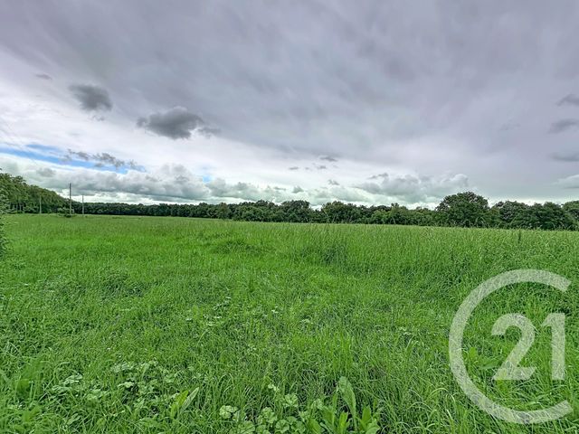 Maison &agrave; vendre - 6 pi&egrave;ces - 195,04 m2 - Fleurance - 32 - MIDI-PYRENEES
