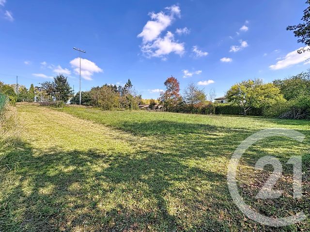 terrain - MONFORT - 32