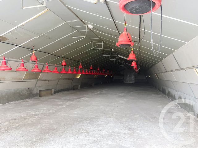 parking - CEZAN - 32