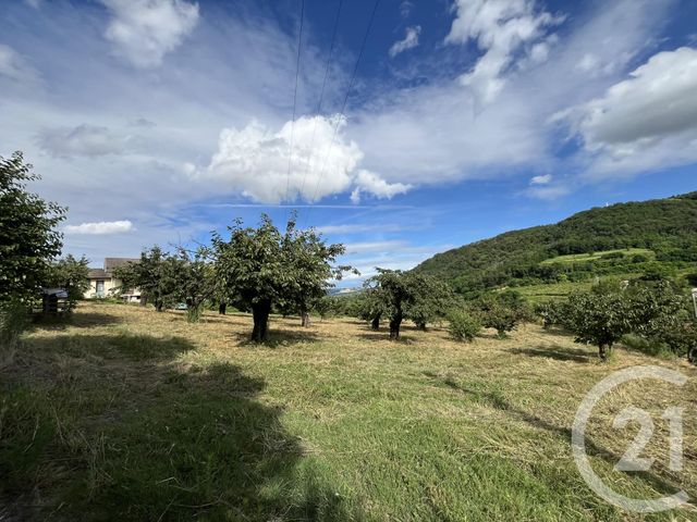 terrain - ST DESIRAT - 07