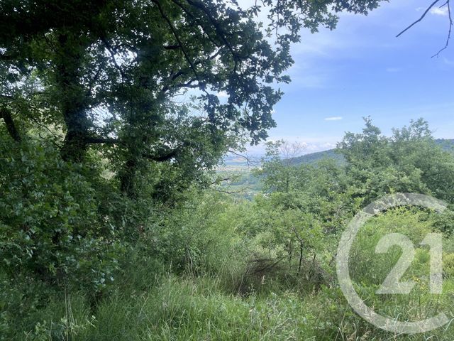 terrain - ST DESIRAT - 07