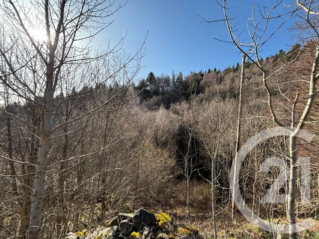 Maison &agrave; vendre - 3 pi&egrave;ces - 50,58 m2 - Vanosc - 07 - RHONE-ALPES