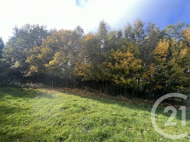 Terrain &agrave; vendre - 17697 m2 - Burdignes - 42 - RHONE-ALPES