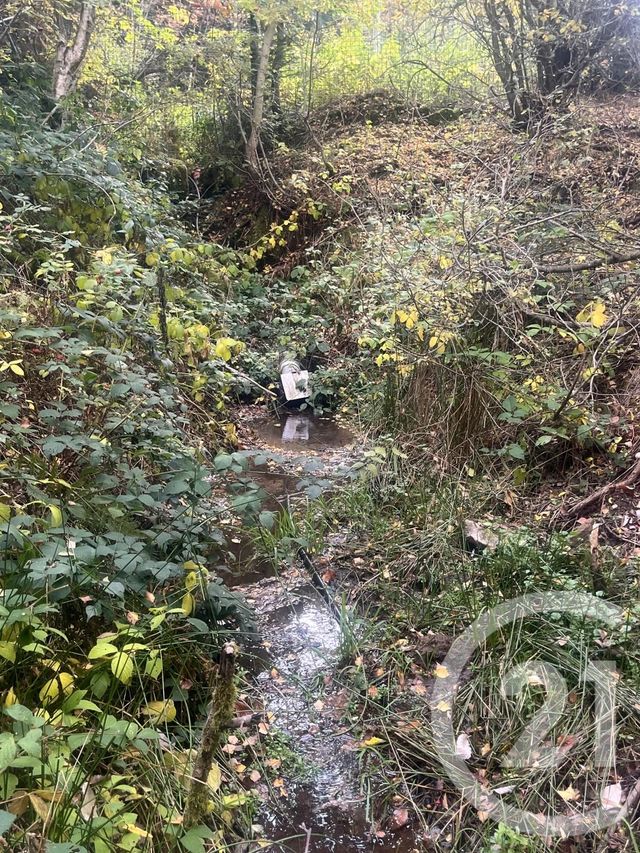 Terrain &agrave; vendre - 17697 m2 - Burdignes - 42 - RHONE-ALPES