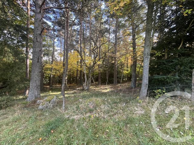 Terrain &agrave; vendre - 17697 m2 - Burdignes - 42 - RHONE-ALPES