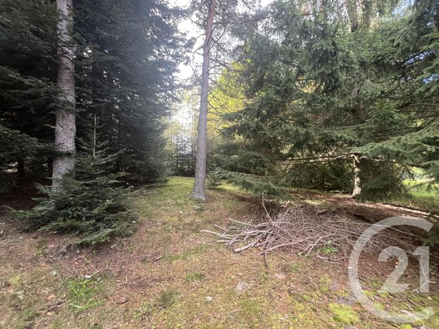 Terrain &agrave; vendre - 17697 m2 - Burdignes - 42 - RHONE-ALPES