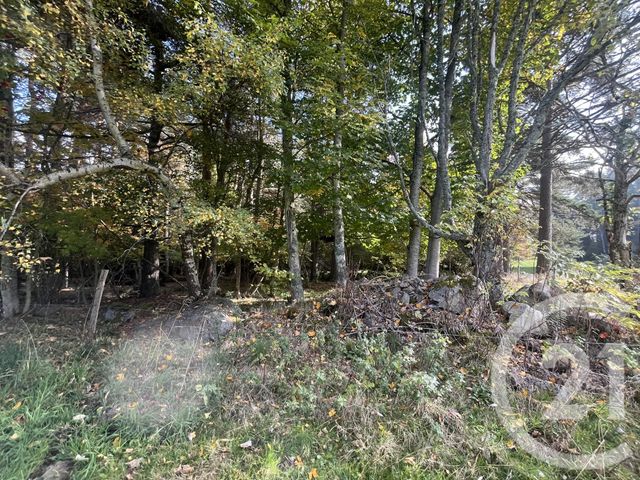 Terrain &agrave; vendre - 17697 m2 - Burdignes - 42 - RHONE-ALPES