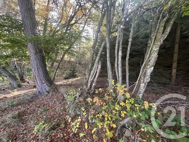 Terrain &agrave; vendre - 17697 m2 - Burdignes - 42 - RHONE-ALPES