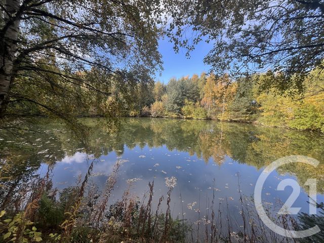 Terrain &agrave; vendre - 17697 m2 - Burdignes - 42 - RHONE-ALPES