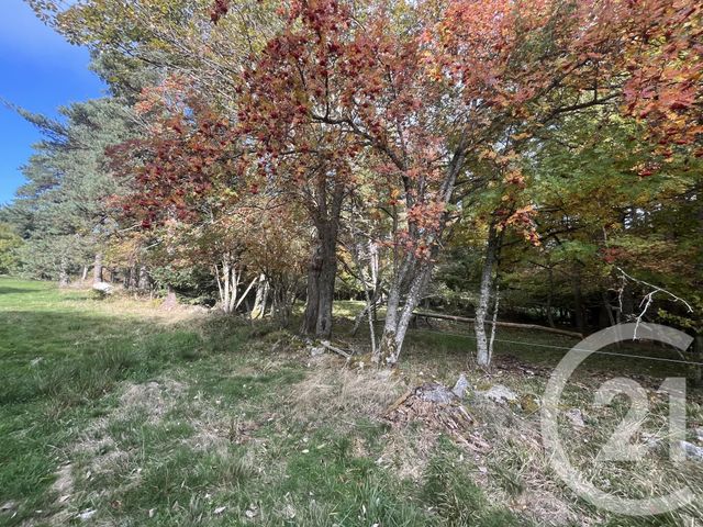 Terrain &agrave; vendre - 17697 m2 - Burdignes - 42 - RHONE-ALPES