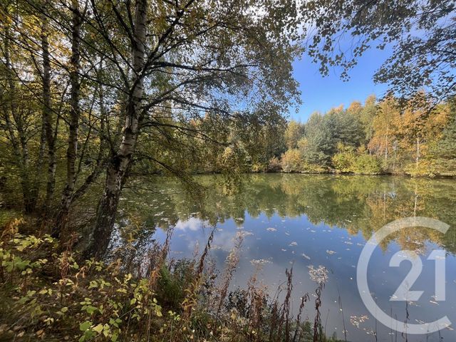 Terrain &agrave; vendre - 17697 m2 - Burdignes - 42 - RHONE-ALPES