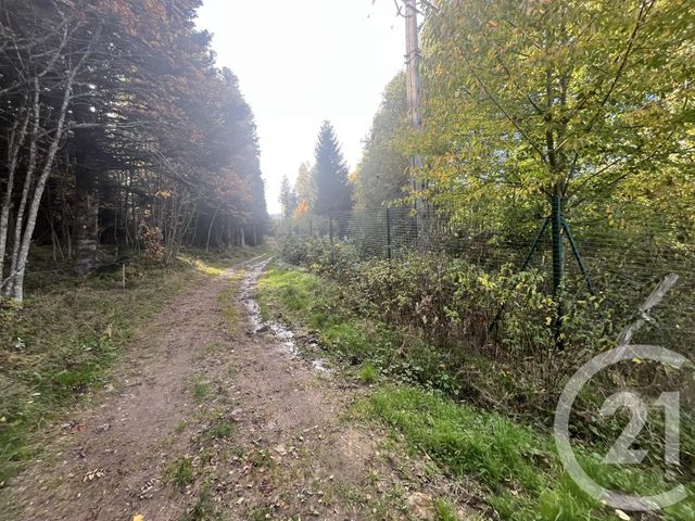 Terrain &agrave; vendre - 17697 m2 - Burdignes - 42 - RHONE-ALPES