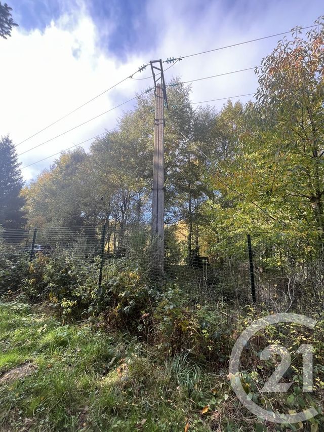 Terrain &agrave; vendre - 17697 m2 - Burdignes - 42 - RHONE-ALPES