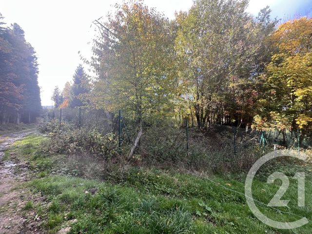 Terrain &agrave; vendre - 17697 m2 - Burdignes - 42 - RHONE-ALPES