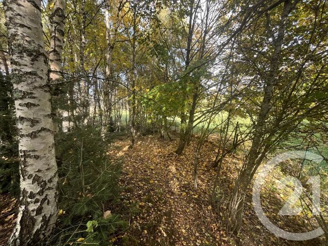 Terrain &agrave; vendre - 17697 m2 - Burdignes - 42 - RHONE-ALPES