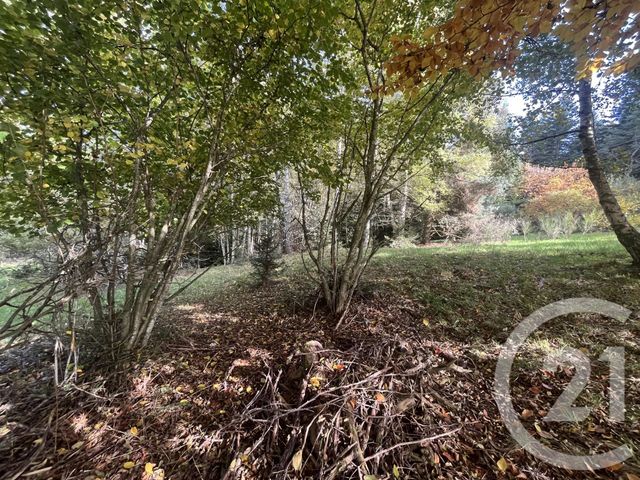 Terrain &agrave; vendre - 17697 m2 - Burdignes - 42 - RHONE-ALPES