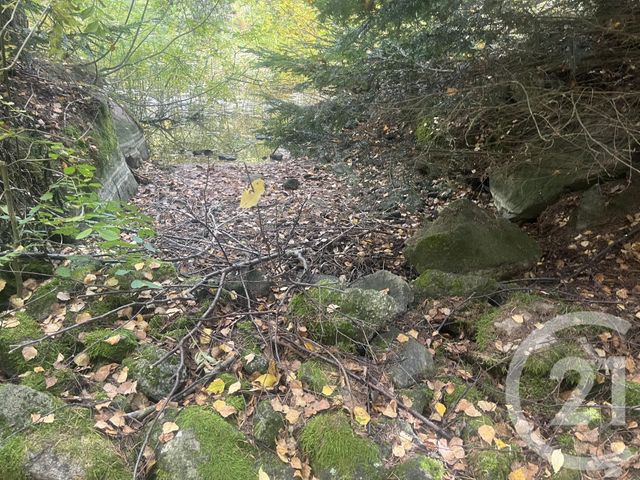 Terrain &agrave; vendre - 17697 m2 - Burdignes - 42 - RHONE-ALPES